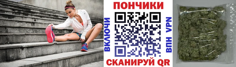 Бошки Шишки план  Малаховка 